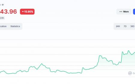 Сколько можно заработать на launchpad Binance