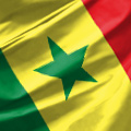 Сенегал. Состав команды, статистика и прогнозы