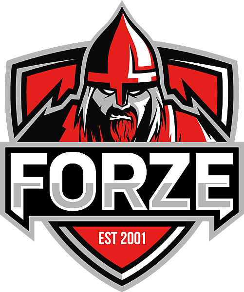 forZe. Состав команды, статистика и прогнозы