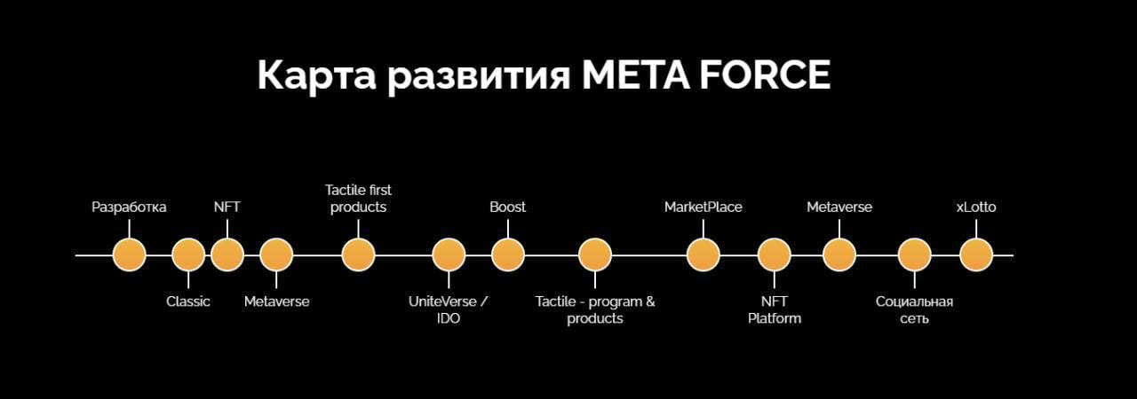 Дорожная карта Meta Force