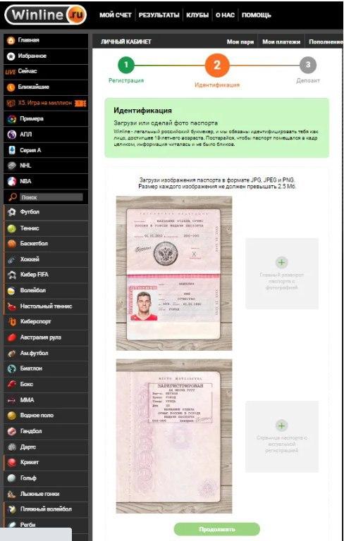 Паспорт и СНИЛС идентификация Винлайн (картинка)